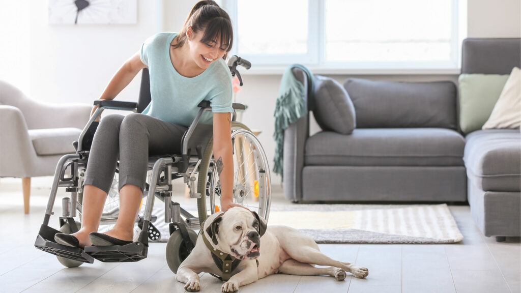 maison personne en fauteuil